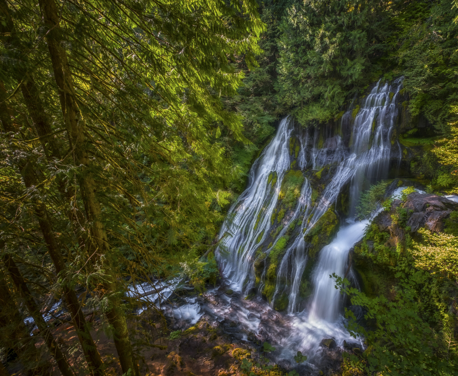 Panther Creek Falls