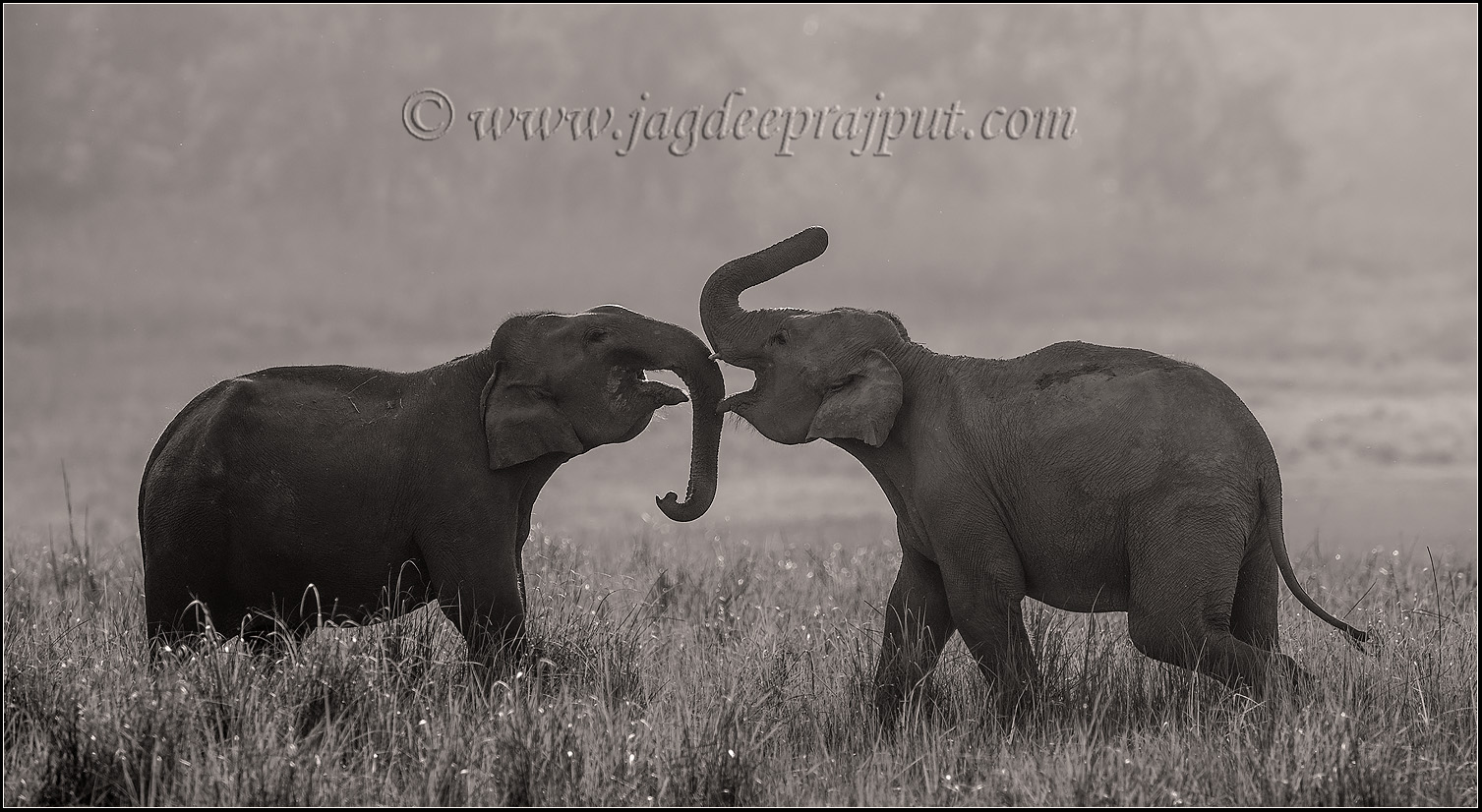 Two to tango