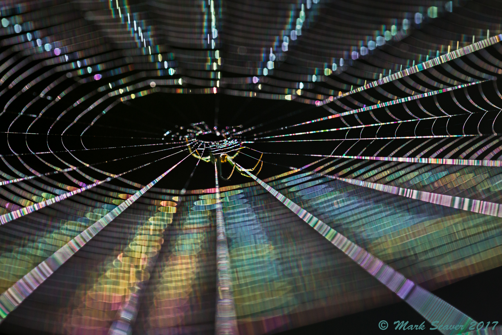 Colored Lights #1
