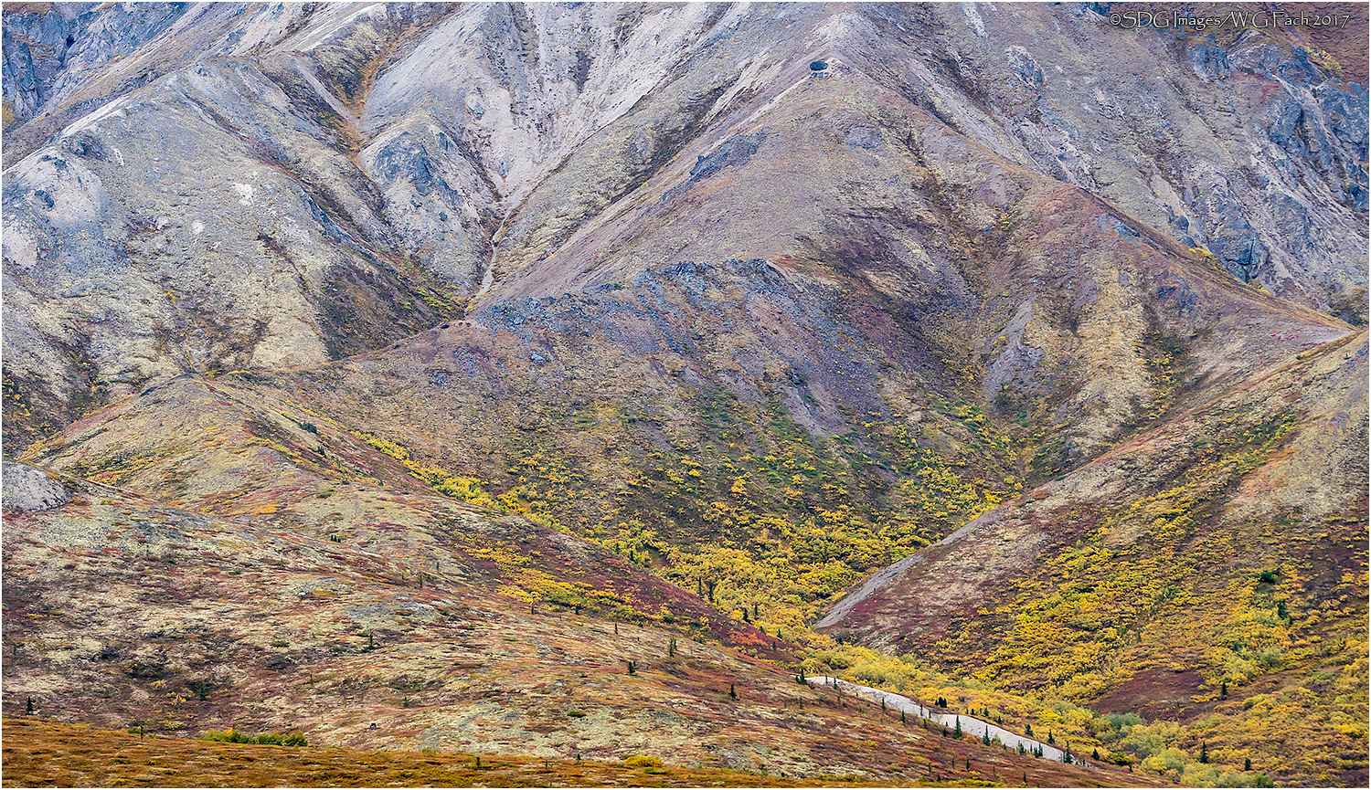Tundra Tapestry