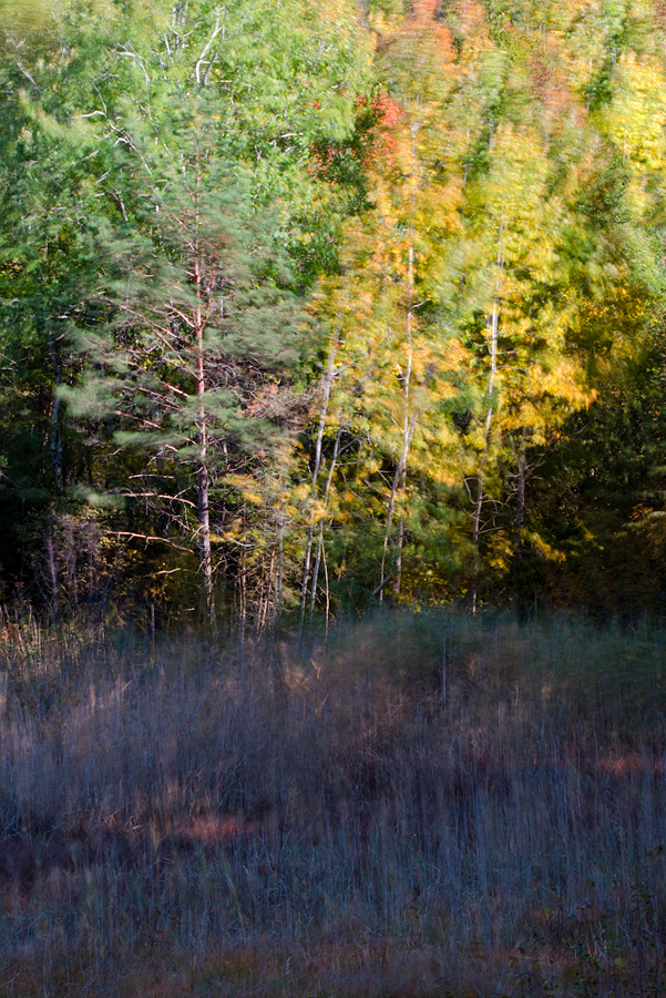 Autumn Impressions