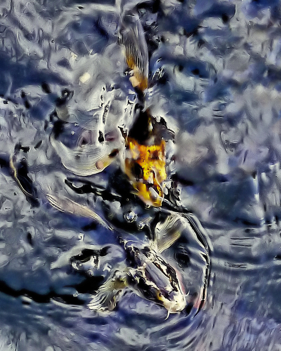 Aquatic reflections