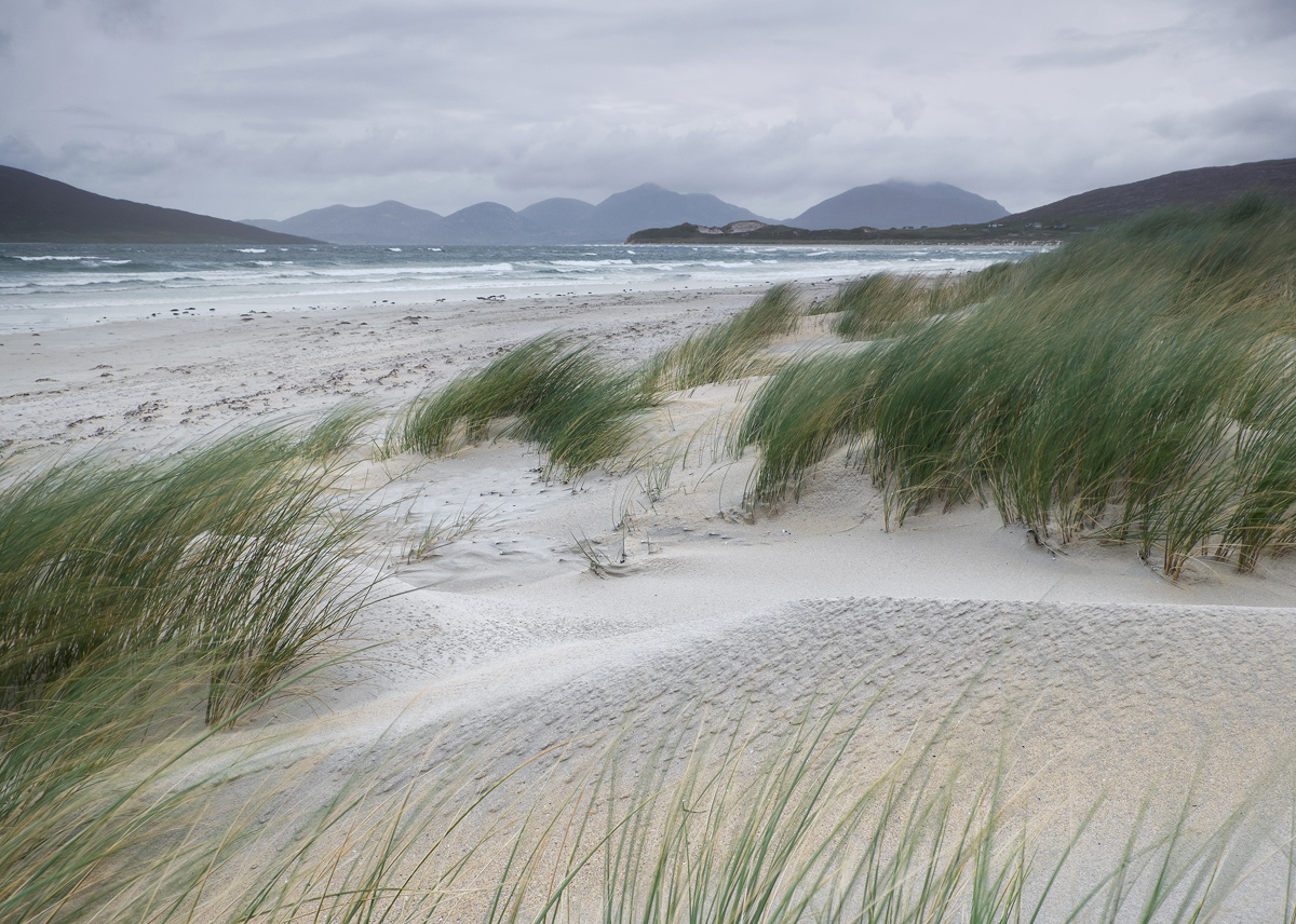 Down In The Dunes