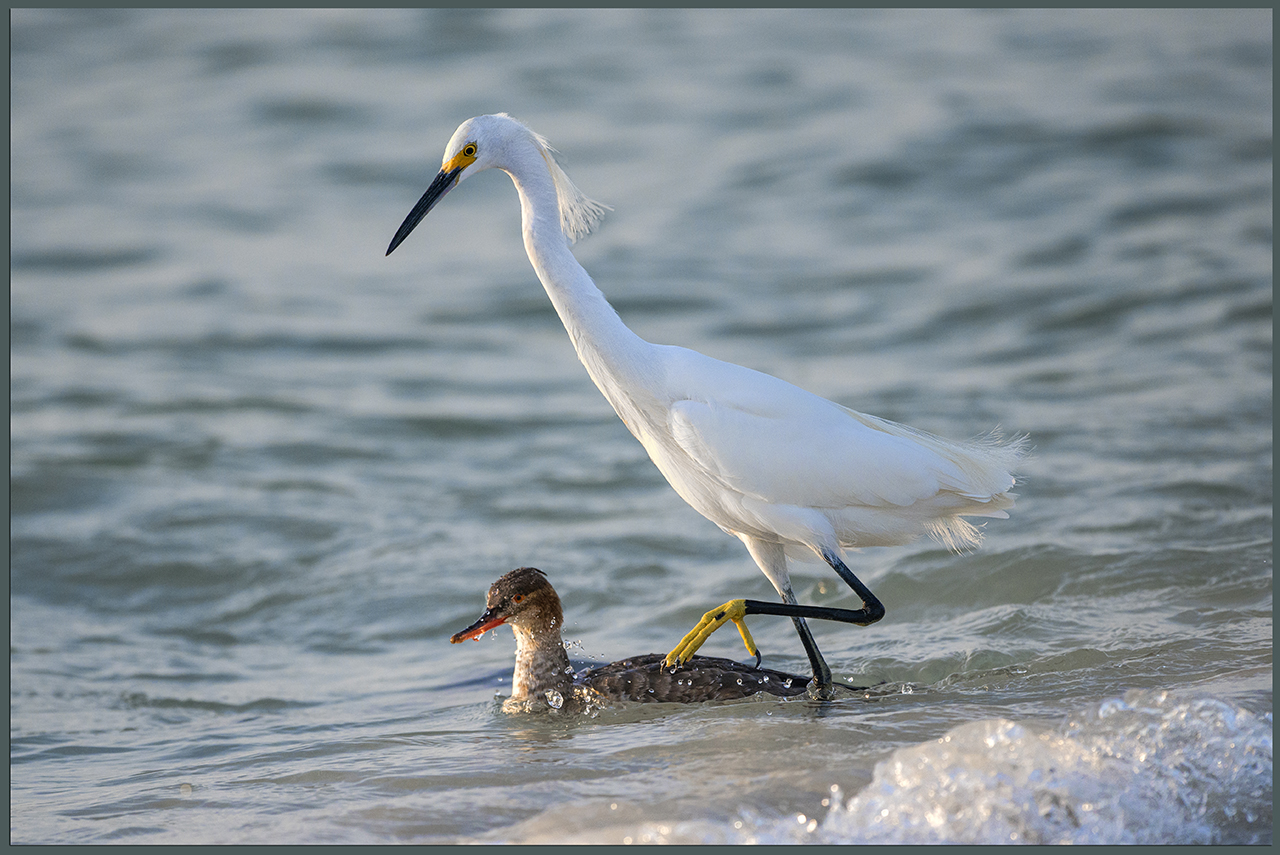 Fishing Buddies