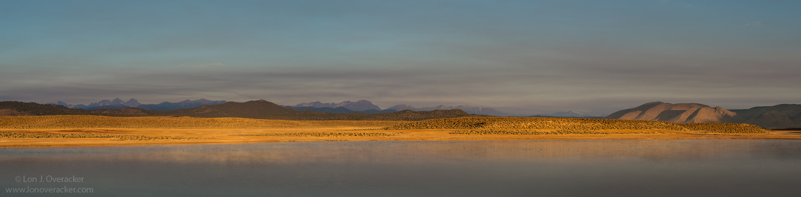 Somber Reflection +