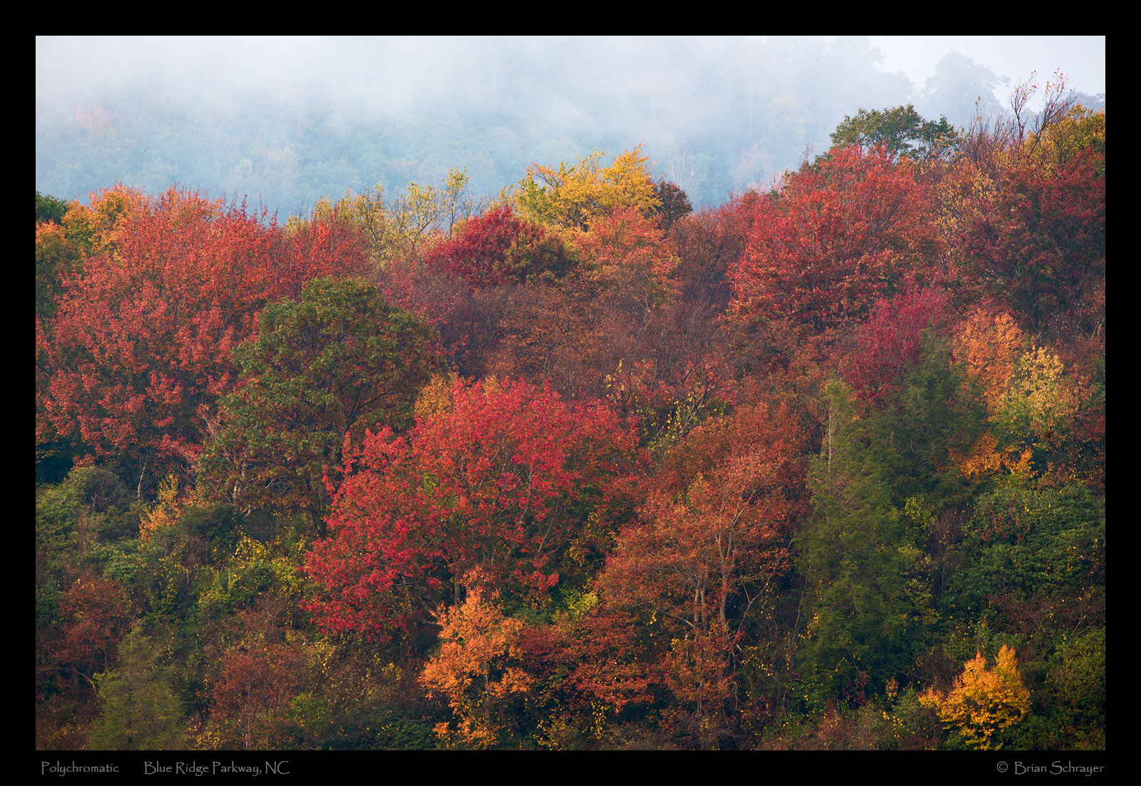 Polychromatic