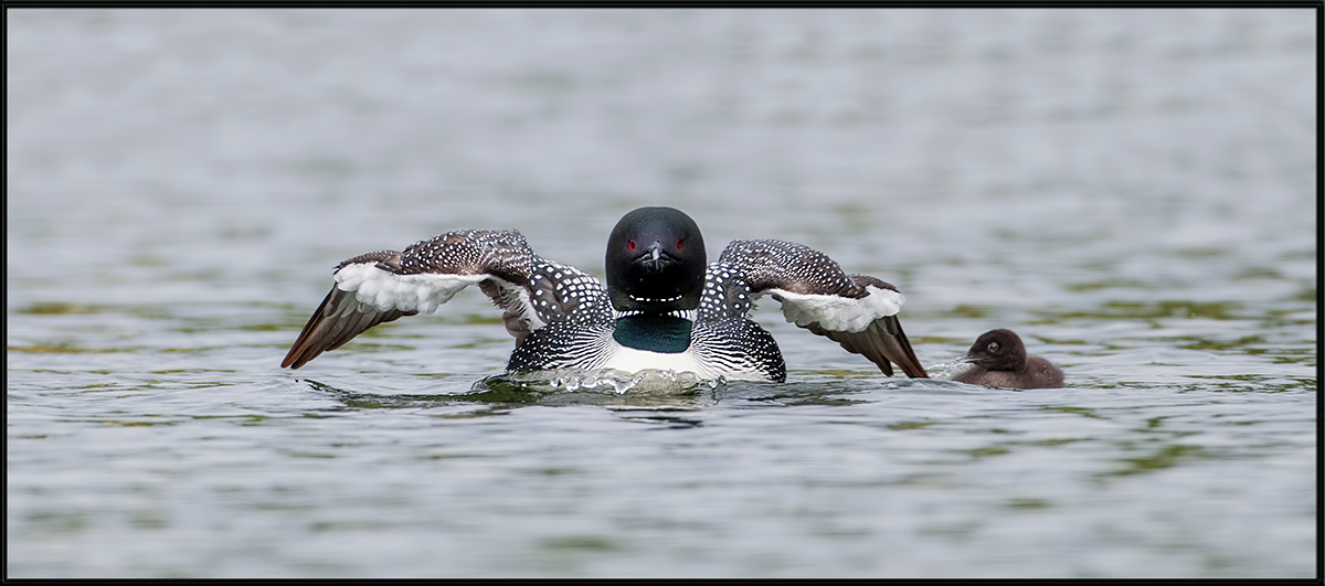 Flight School