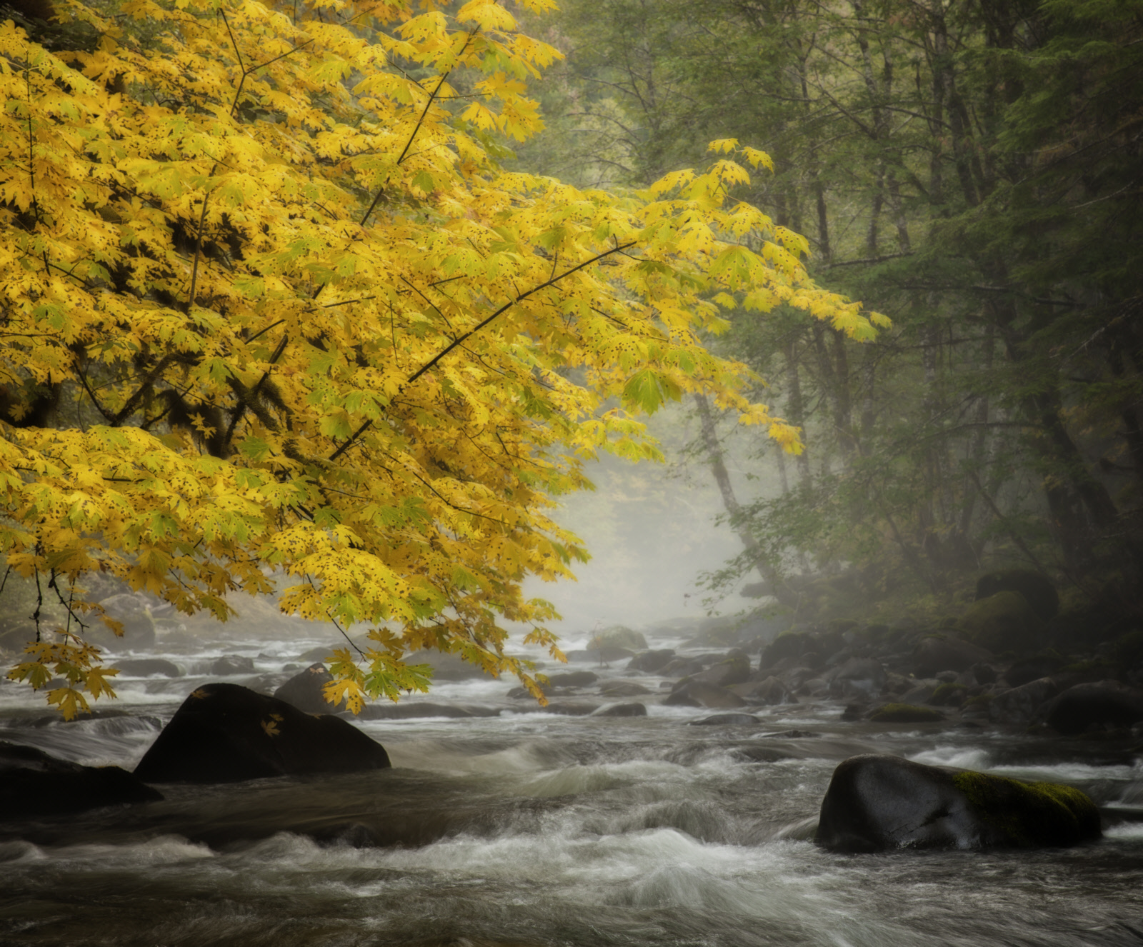 Salmon River, Mt Hood