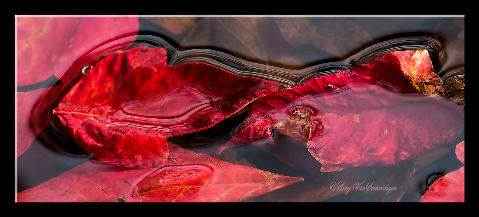 Sensuous Surface