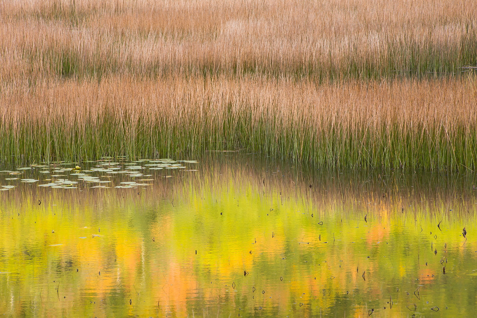 The Tarn # 2