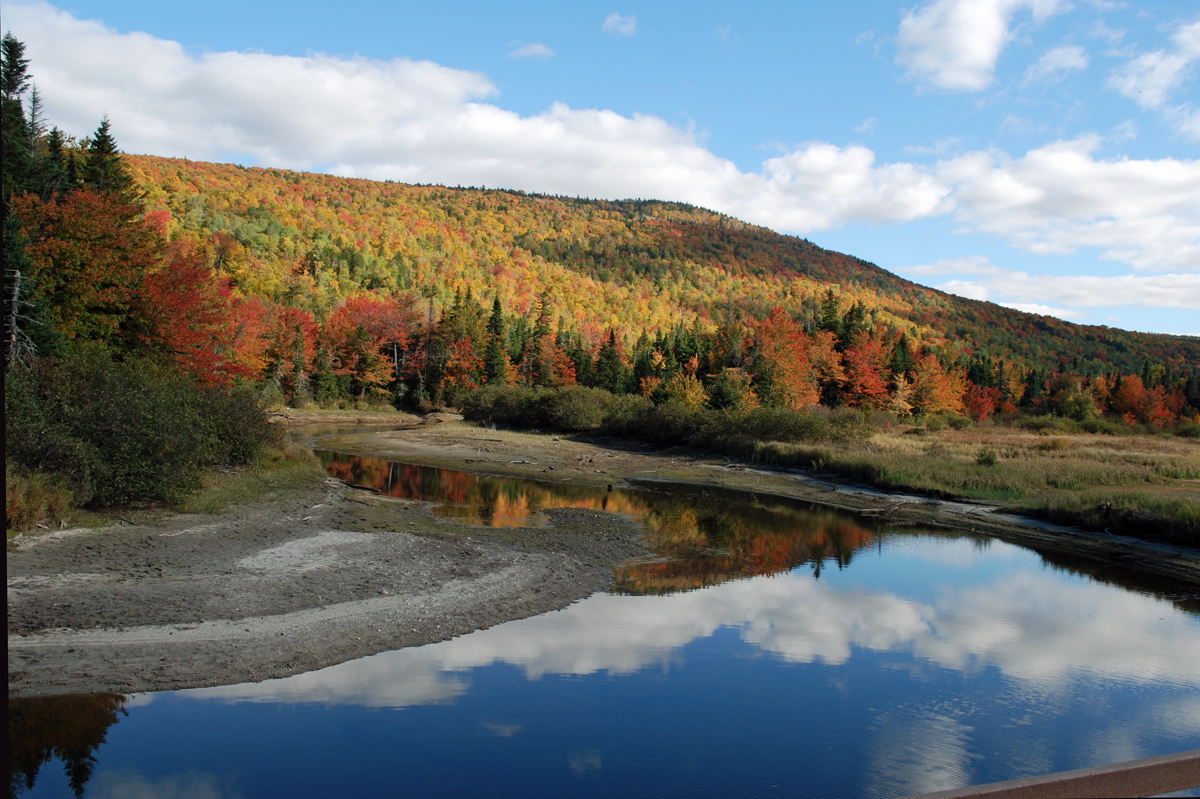 Fall in Maine