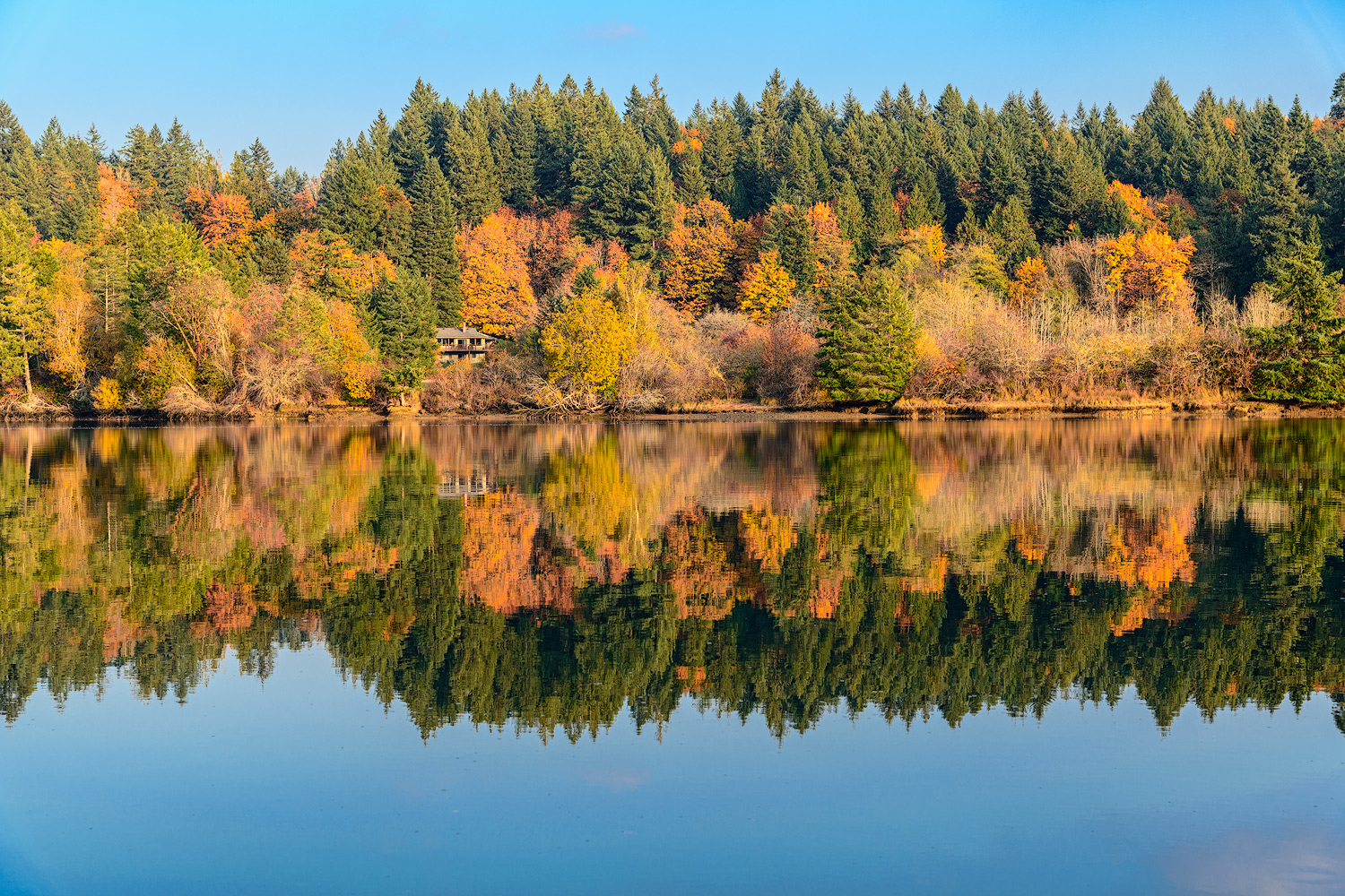 Pac Northwest Fall