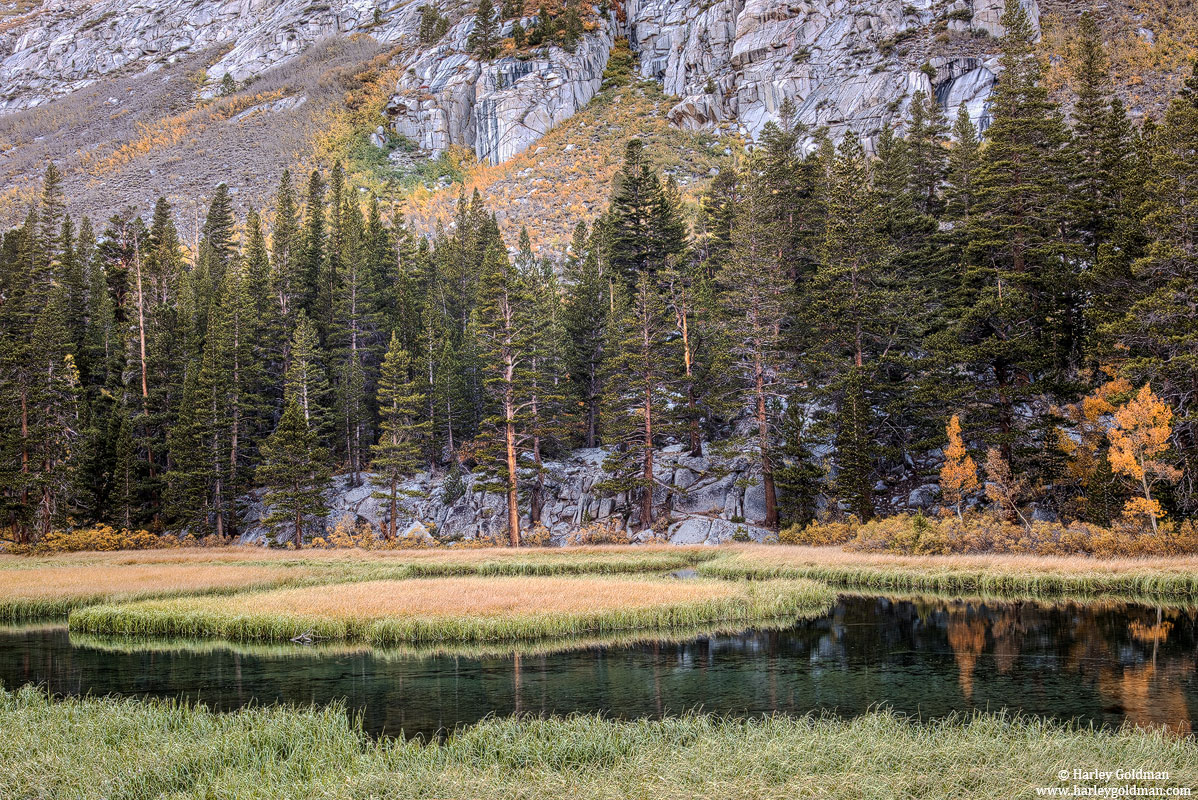 Peaceful Pond
