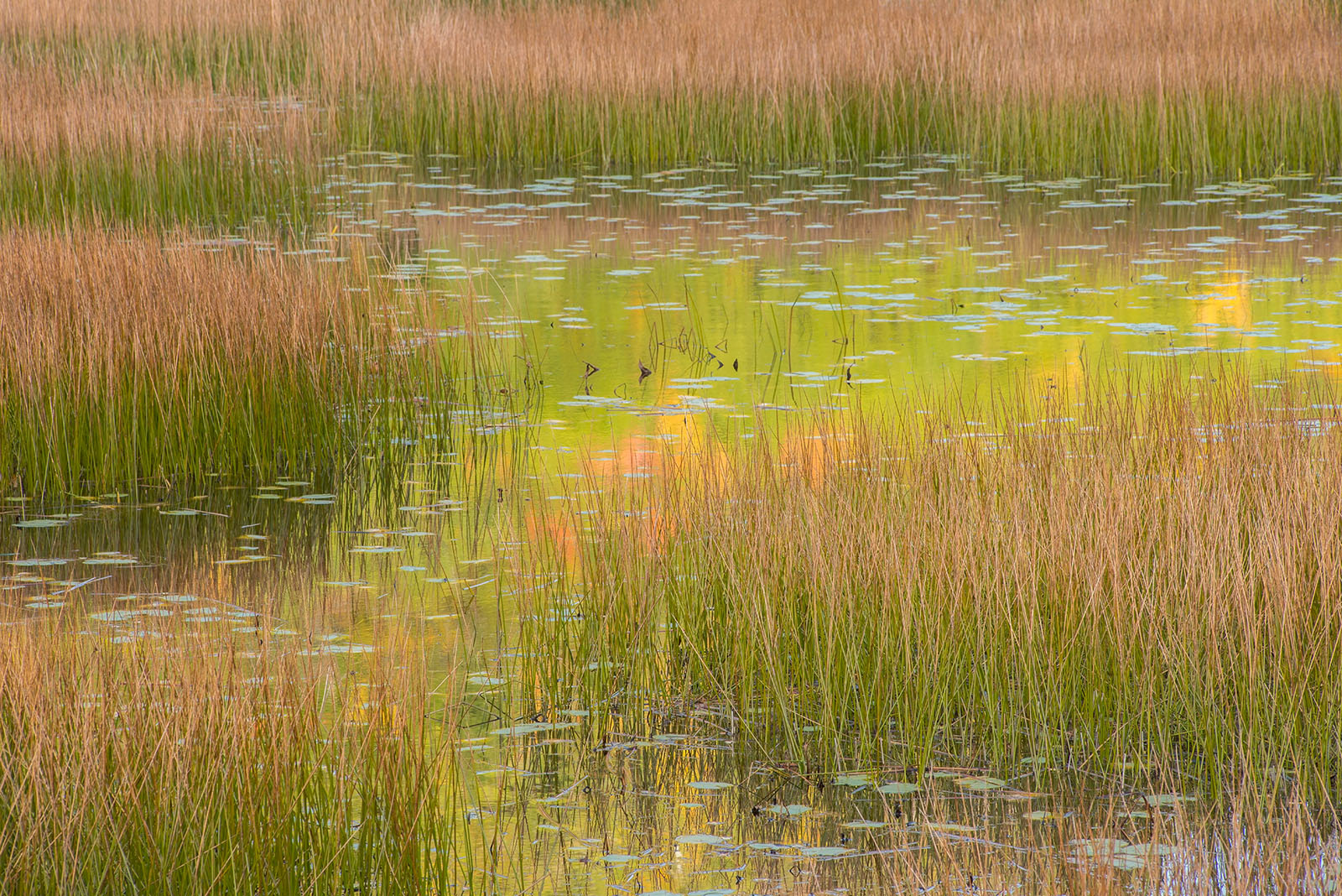 The Tarn # 3