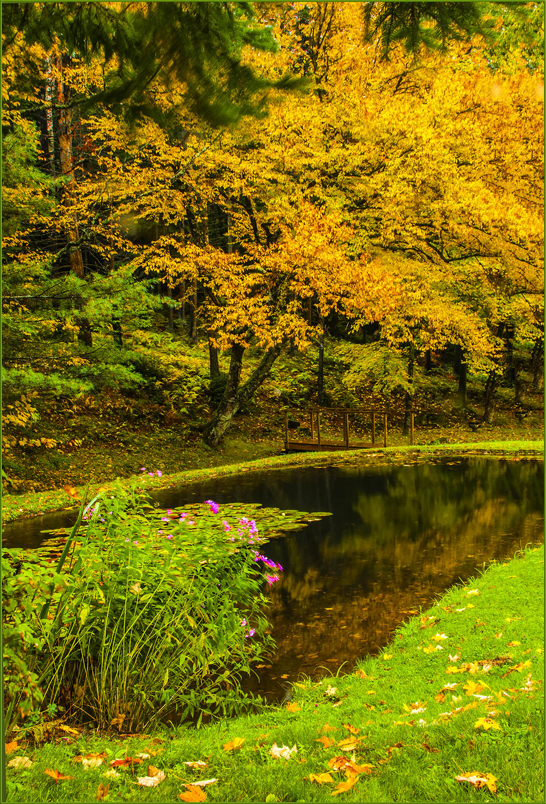 WC #811 - Autumn w/ HOM