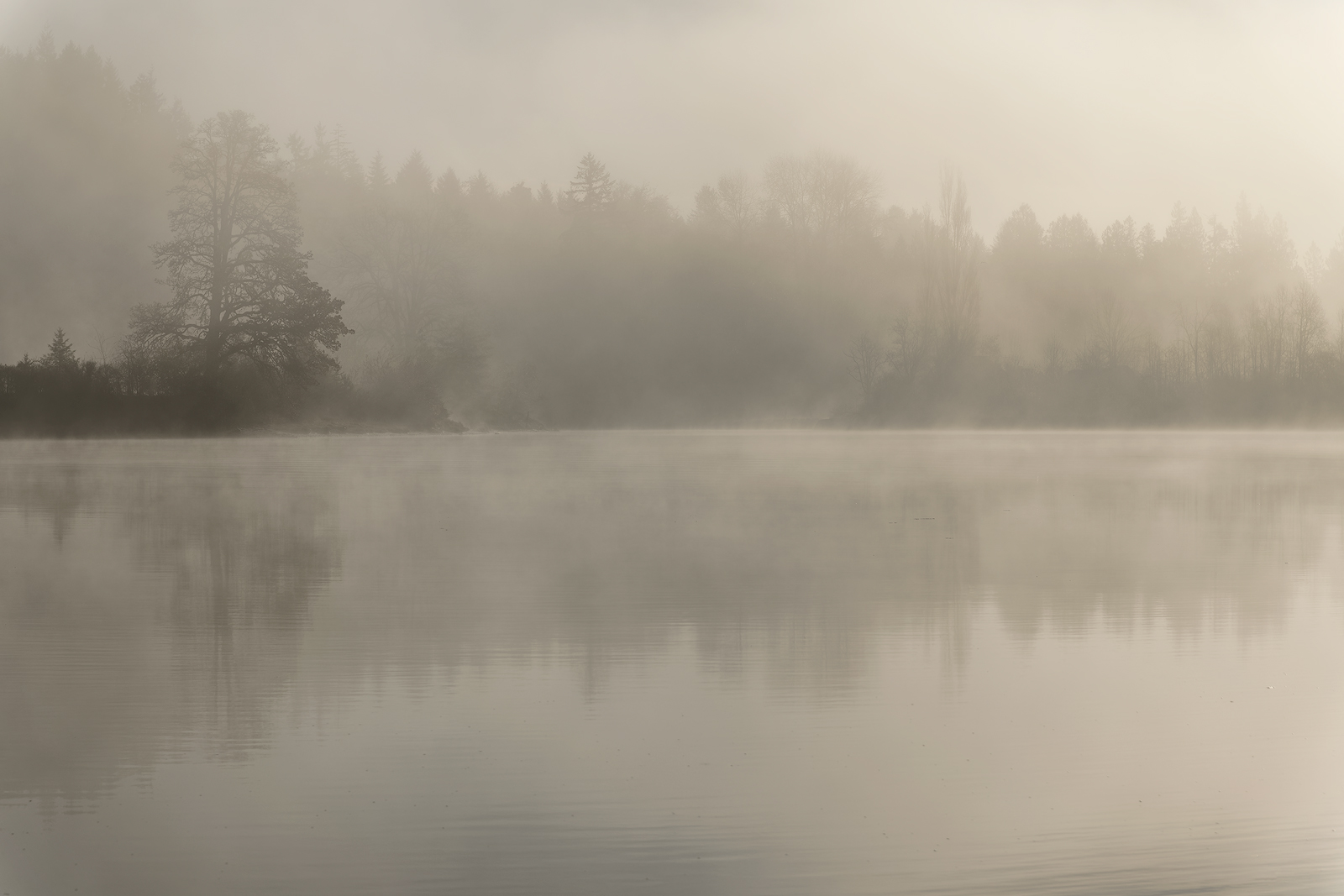 Puget Sound Fog