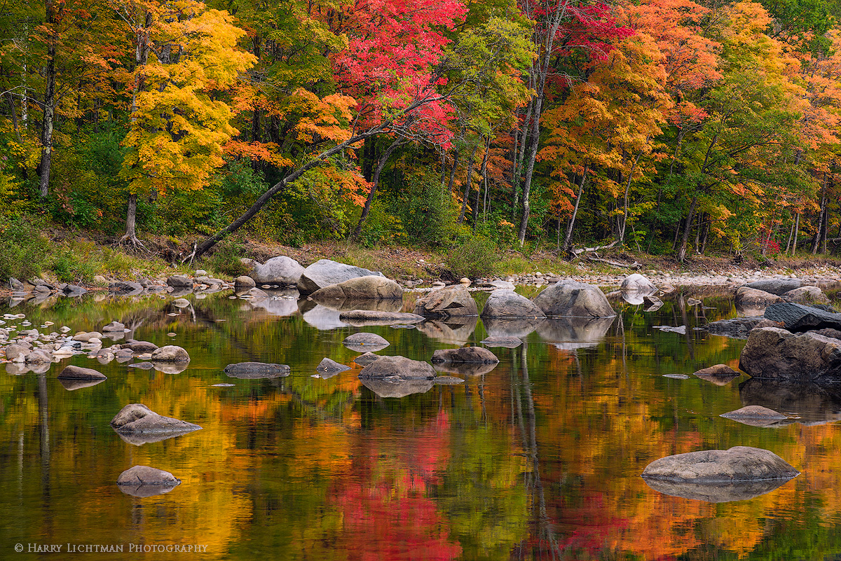 Bathed in Autumn