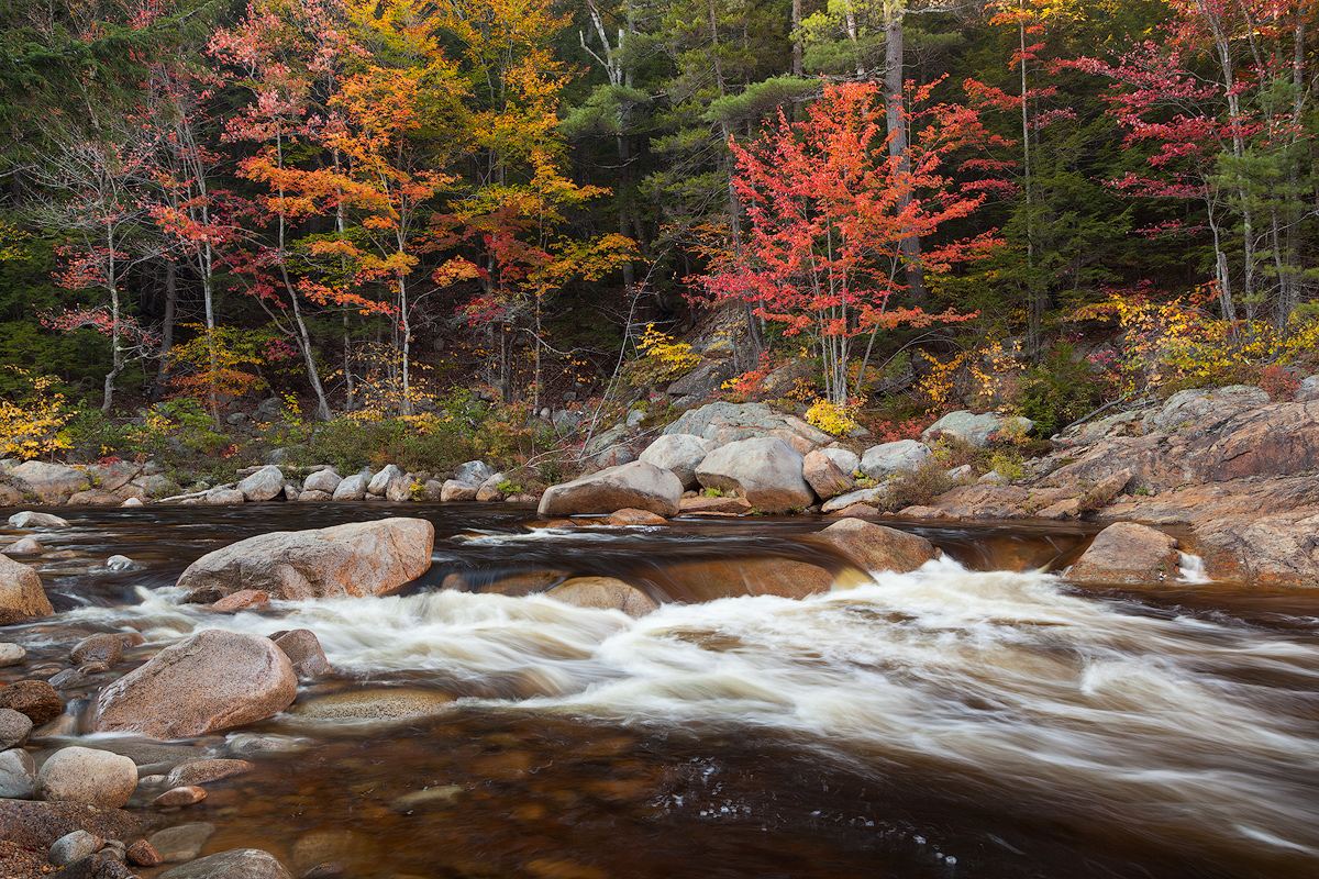 Fall in NH 2 + Repost
