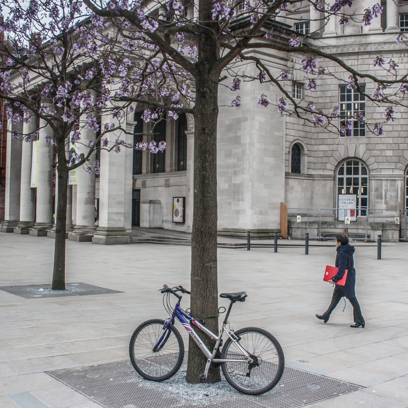 Bicycle Stand