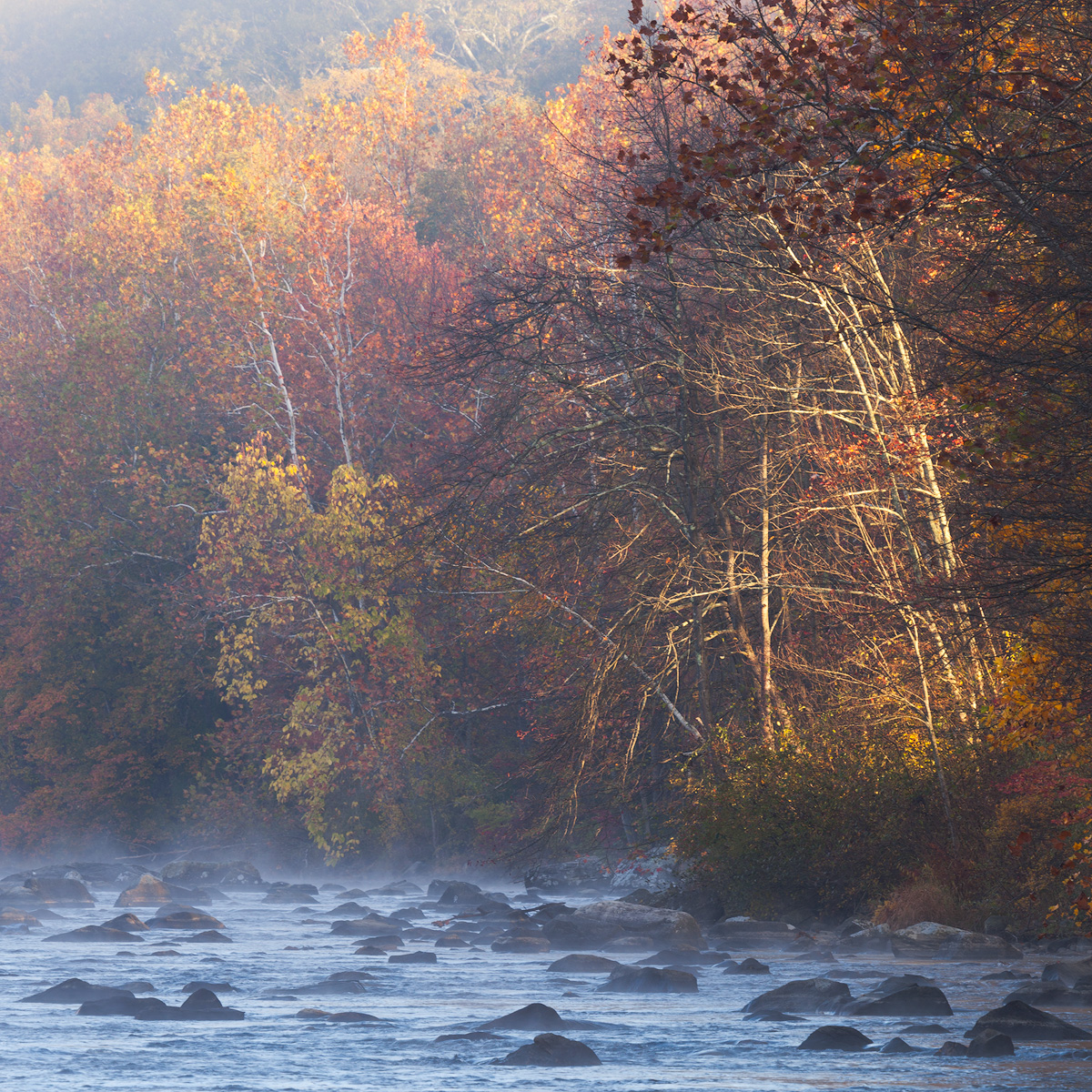 Fall on the River 2