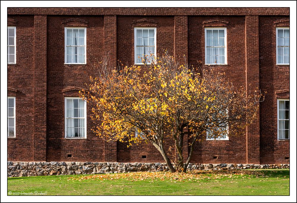 Columbia Autumn