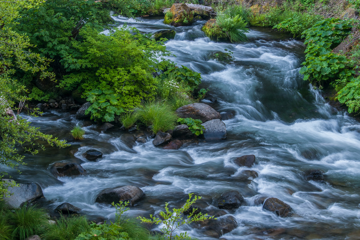 Meeting of the Waters