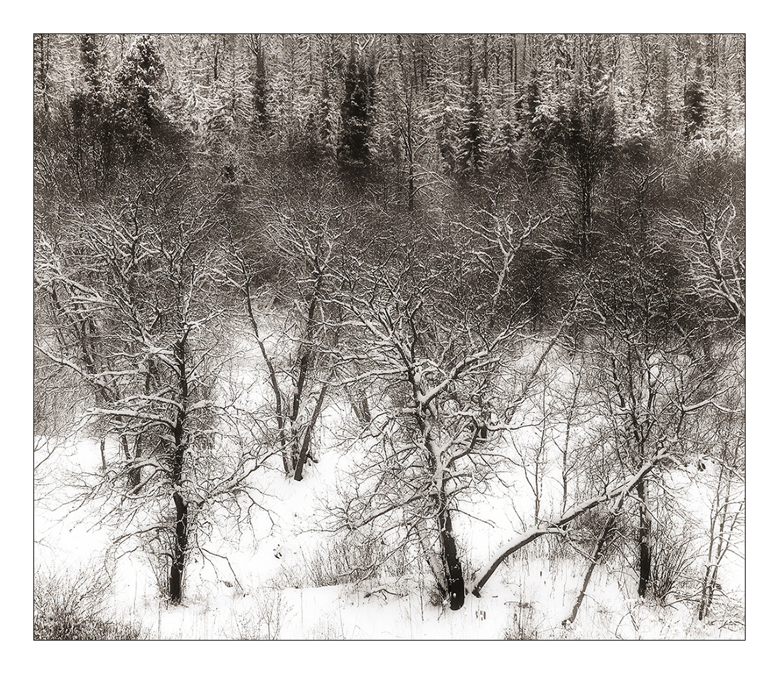 Winter in the UP +Toned