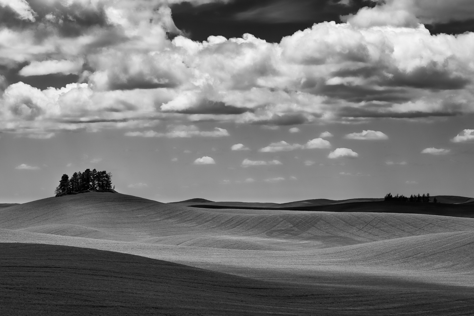 Palouse B/W Repost