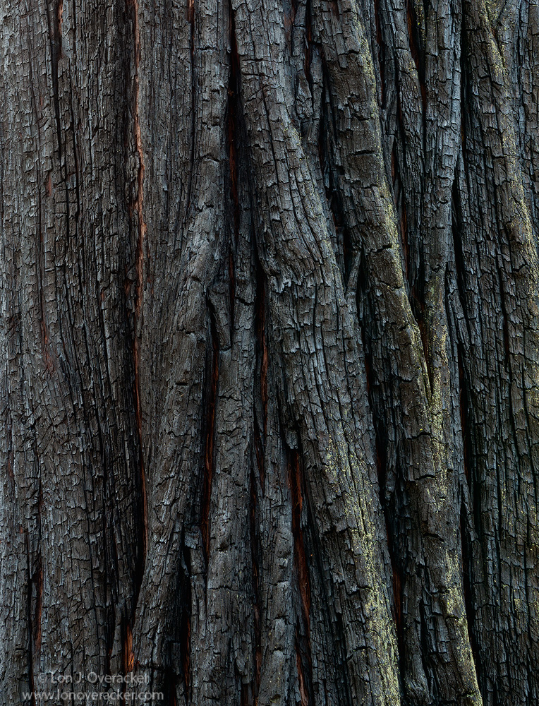Beauty only skin deep