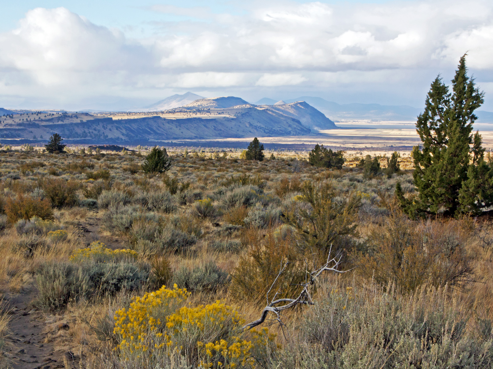 Sheepy Ridge