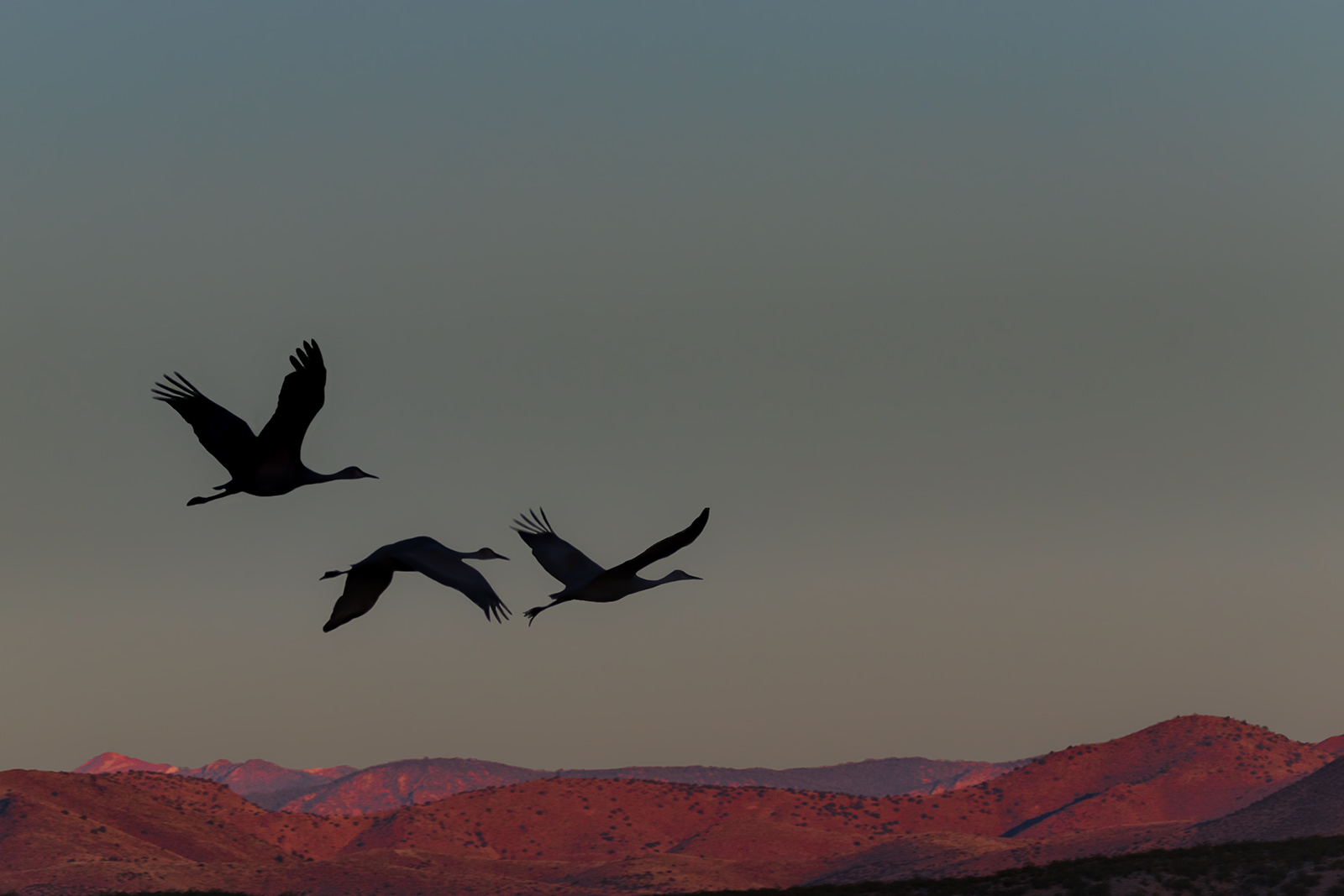 3 Cranes and re-post