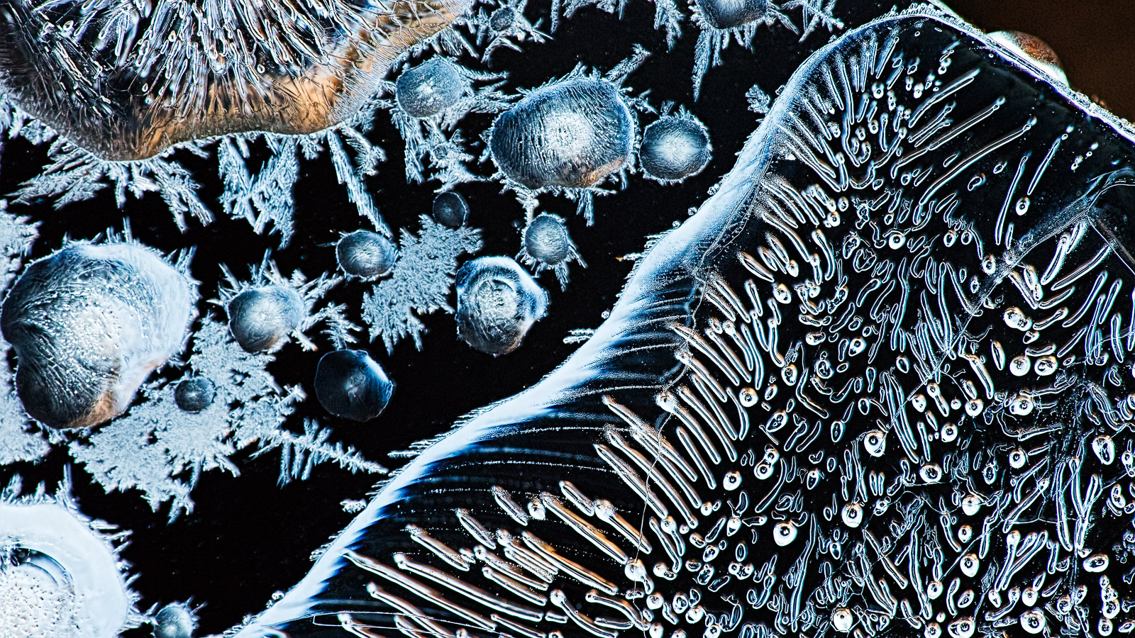 Ice Abstract