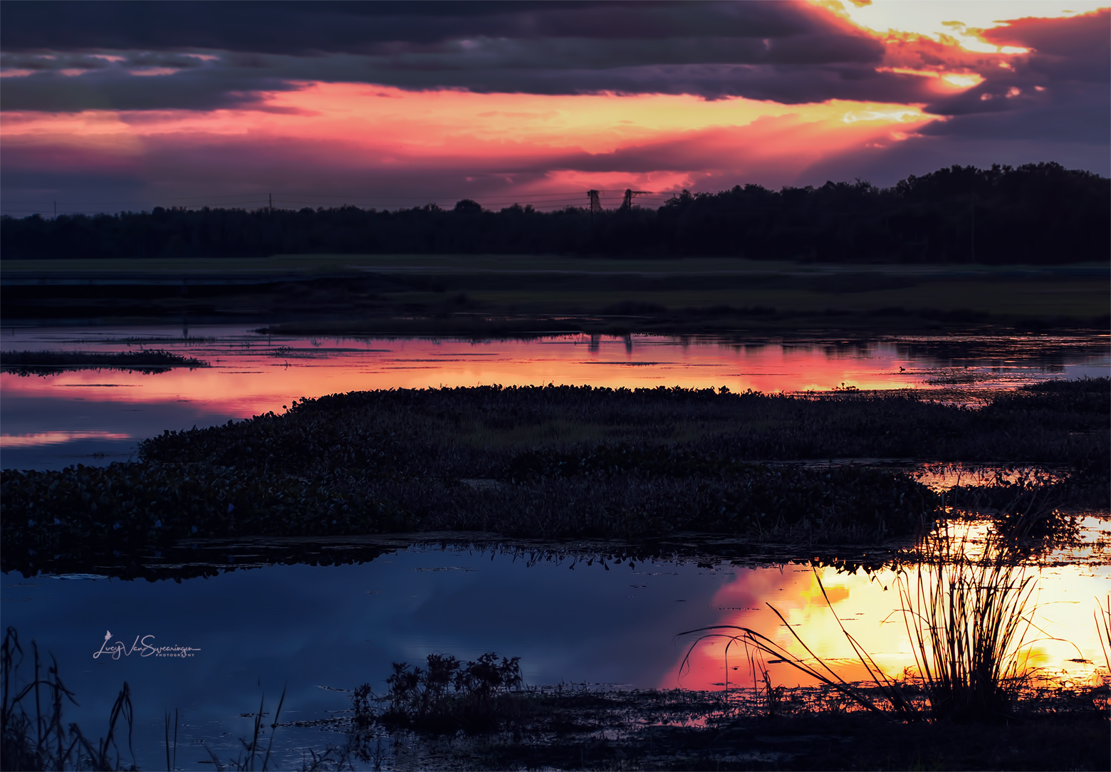 Quiet Country Evening