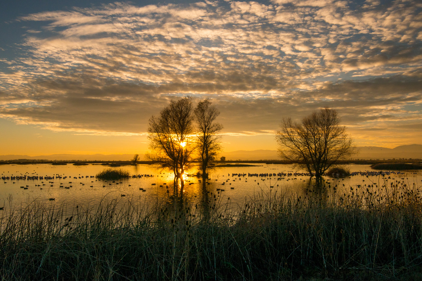 Sac Refuge Sunset + RP