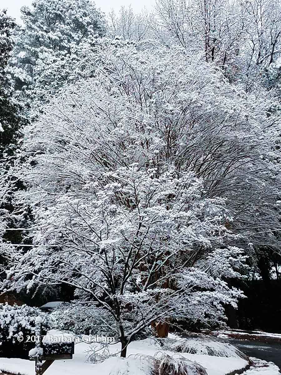 Snow in the South