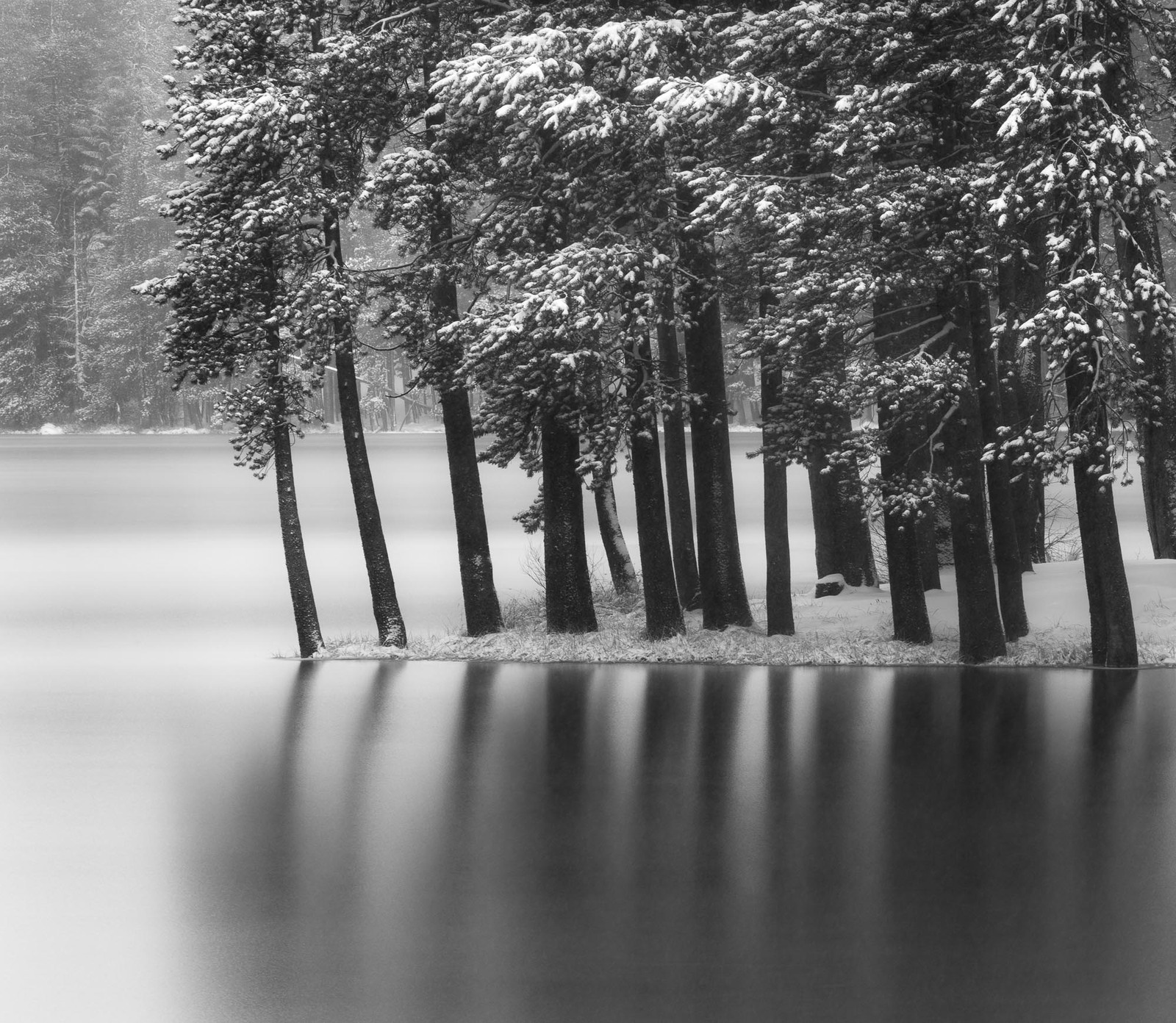 Satin Reflections