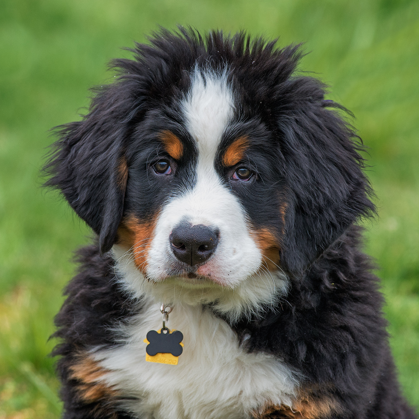 The Look
