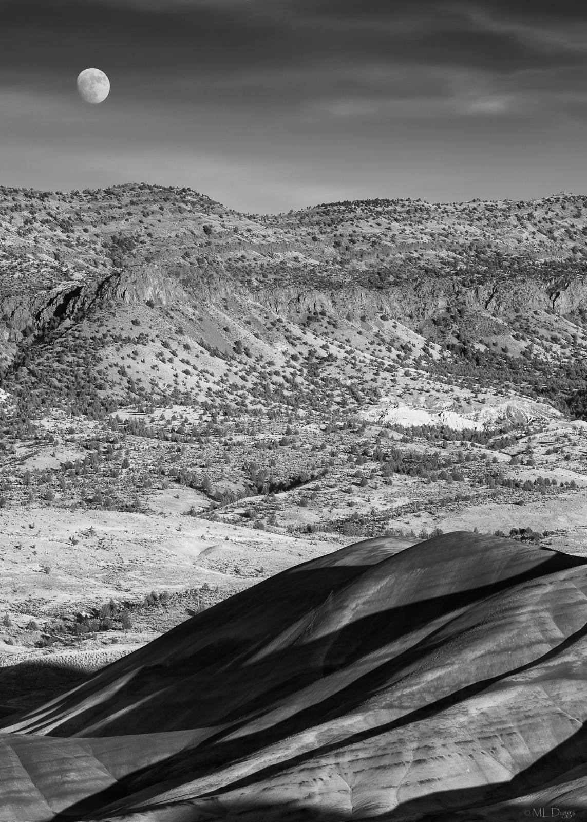Painted BW + Reposts