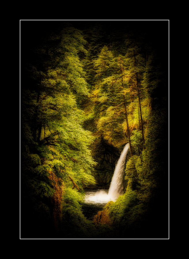 Dreamy Softness