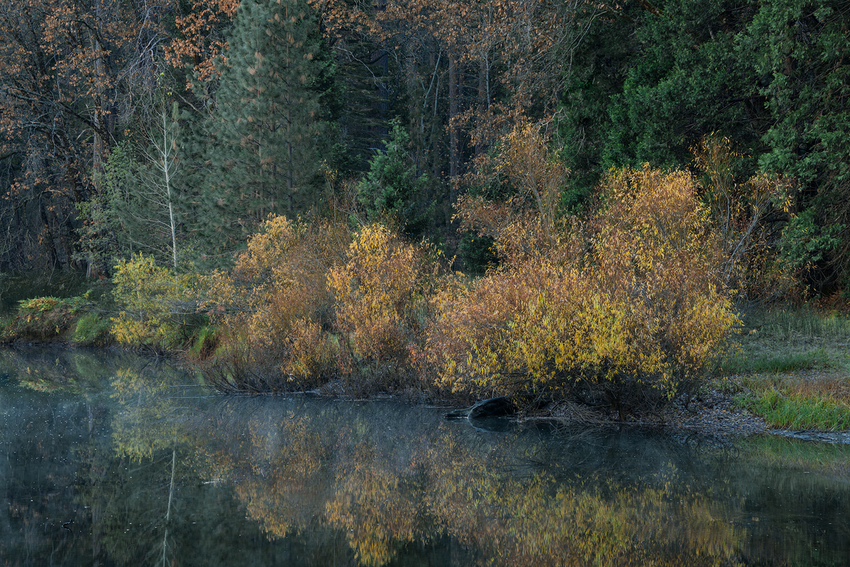 Quiet Merced Autumn +RP