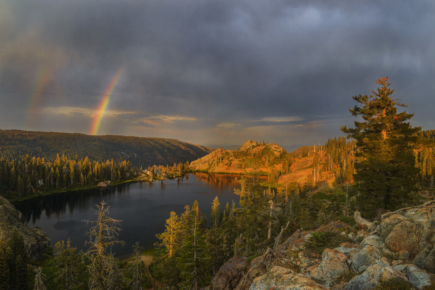 Sierra Summer Surprise!