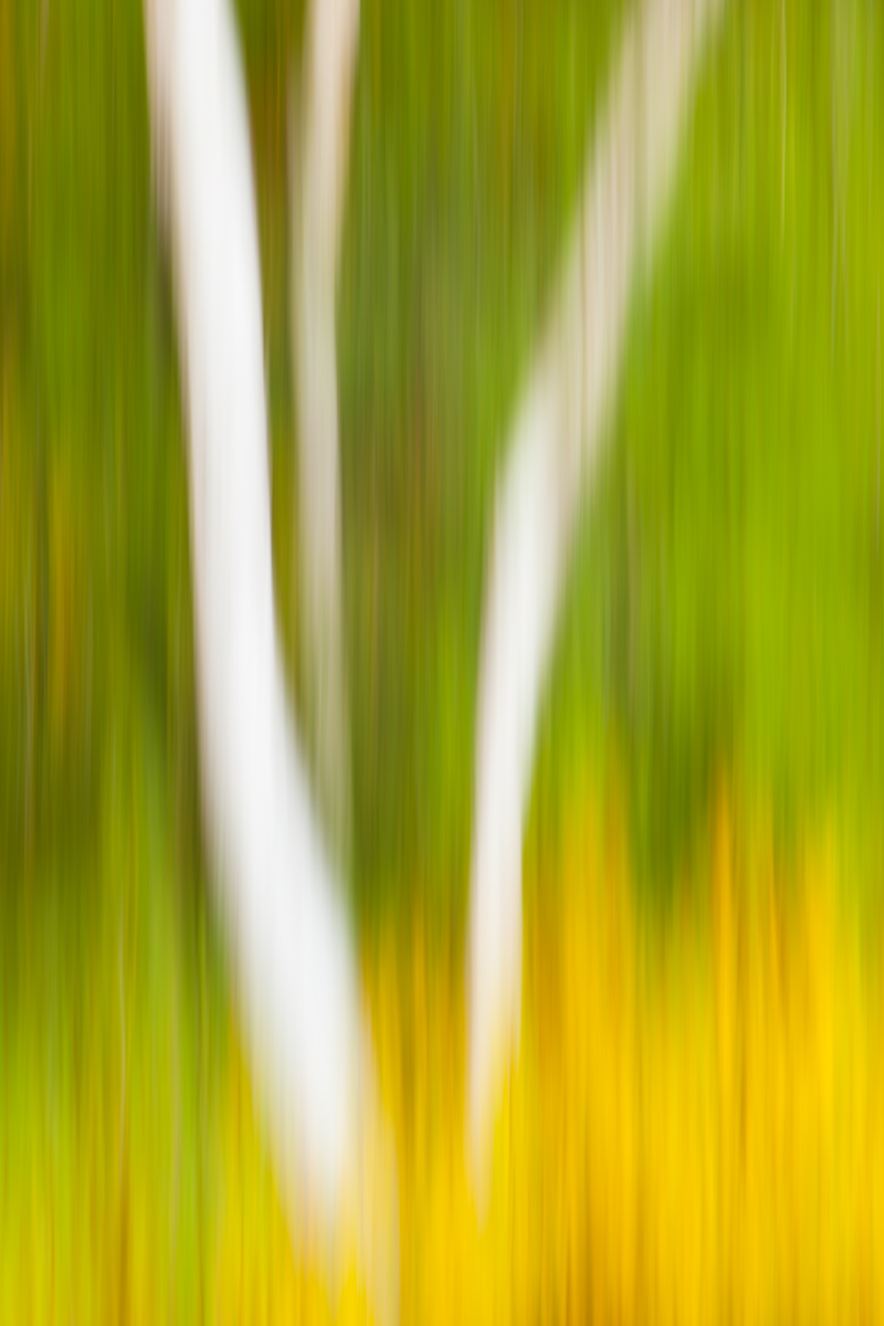 Mixed Colors