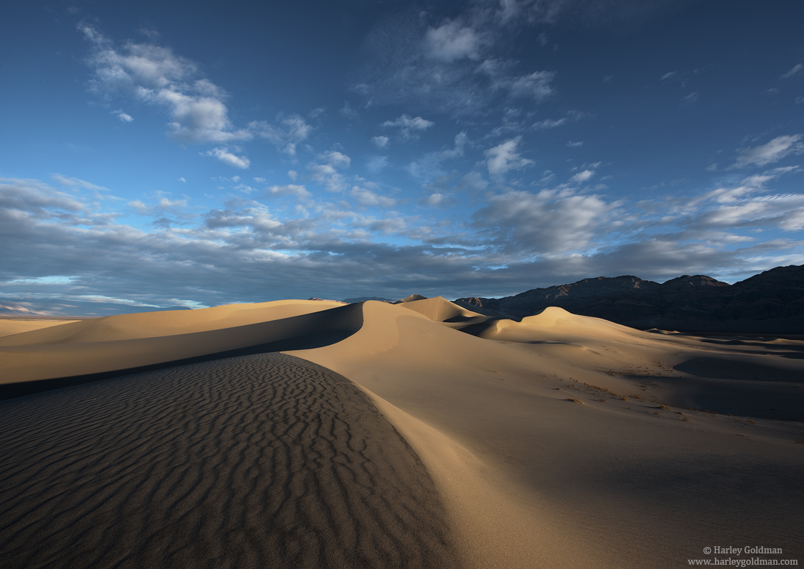 Navigating The Curves