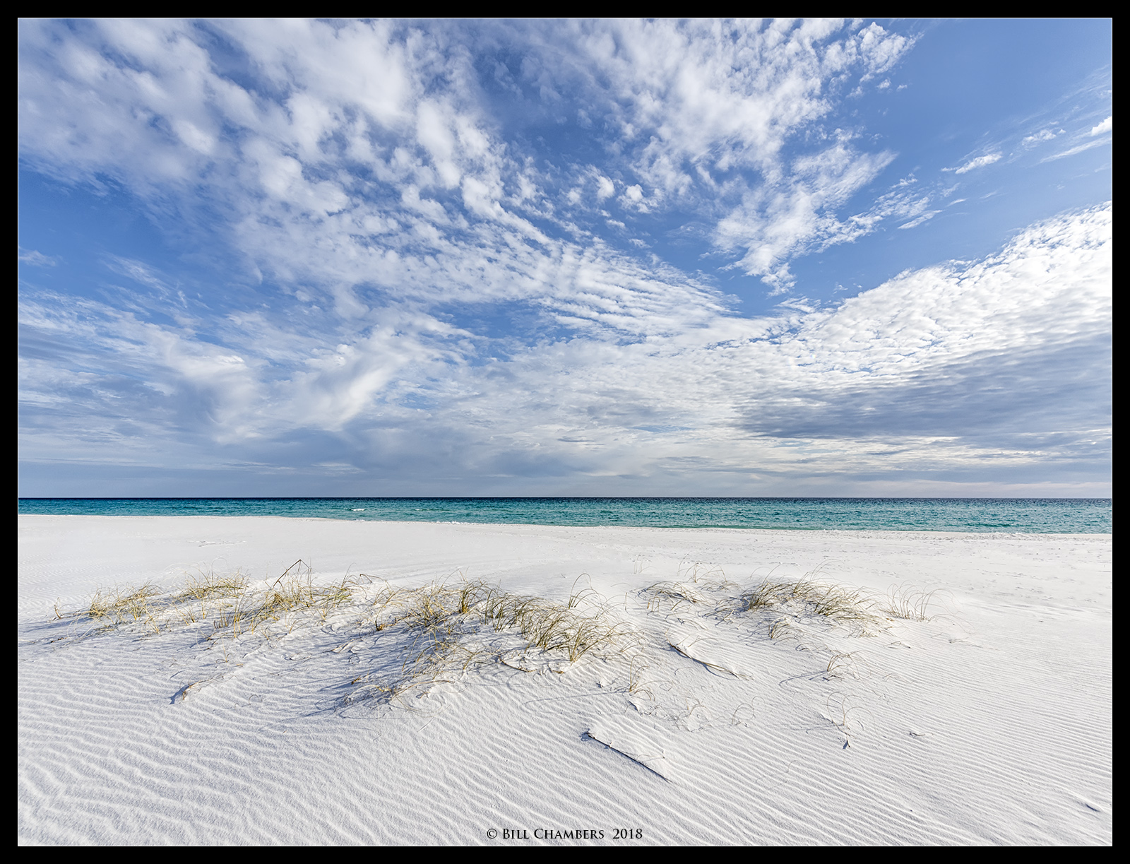 Winter Beach Day