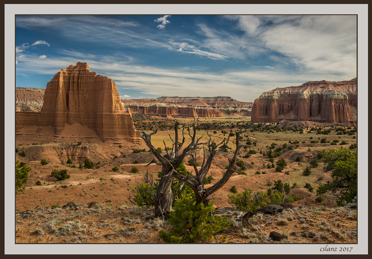 The Old West (+BW)