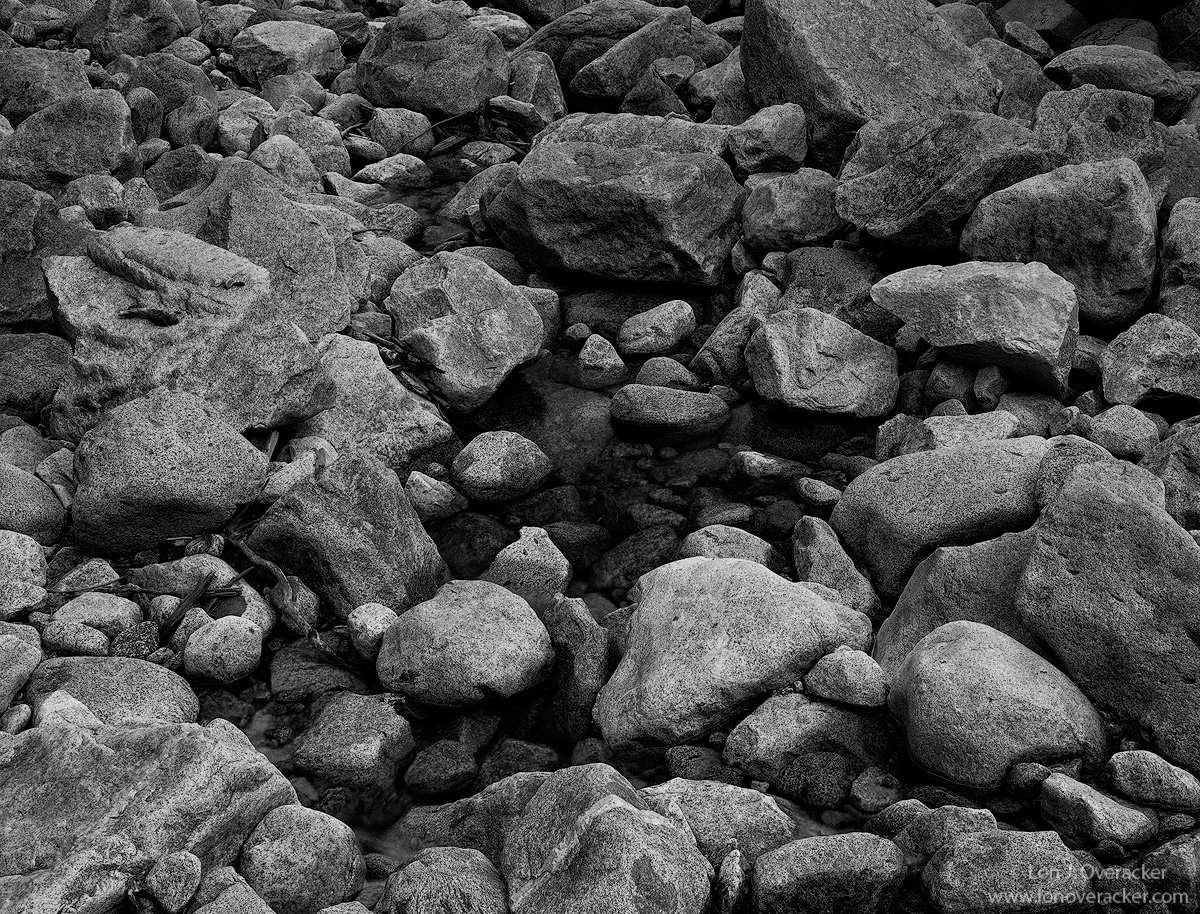 Rock Garden