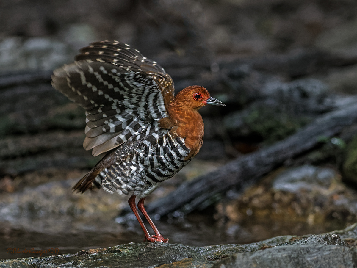 Drying Off