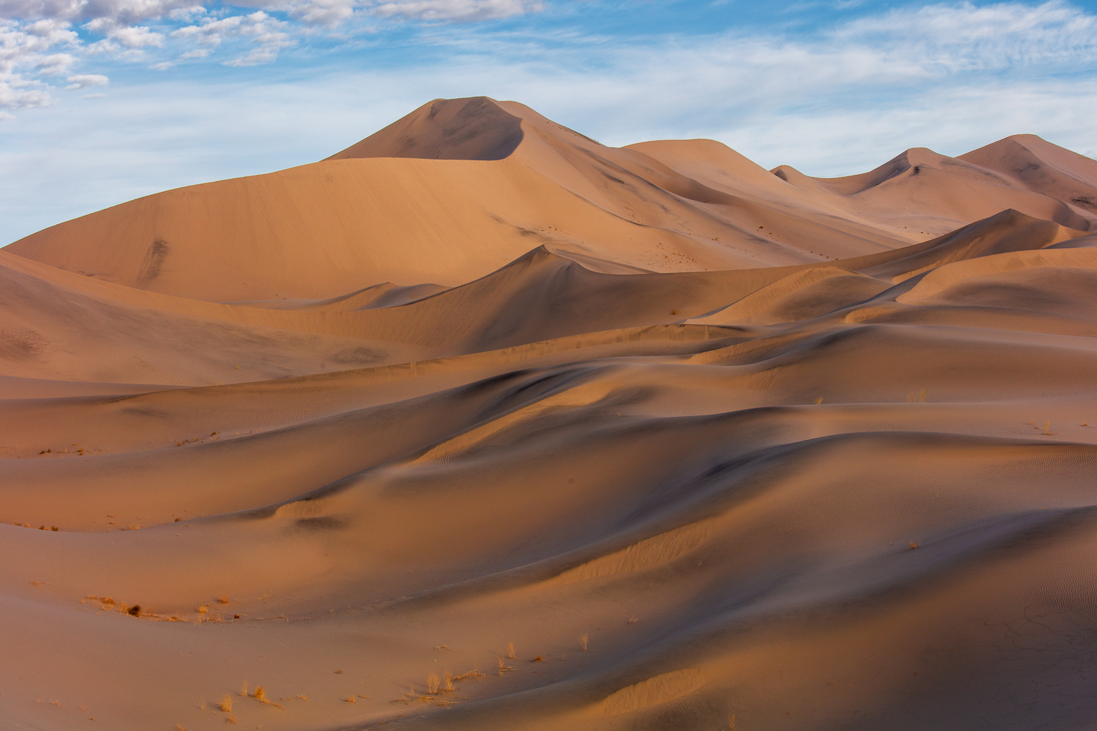 Sand Contours and REPOST