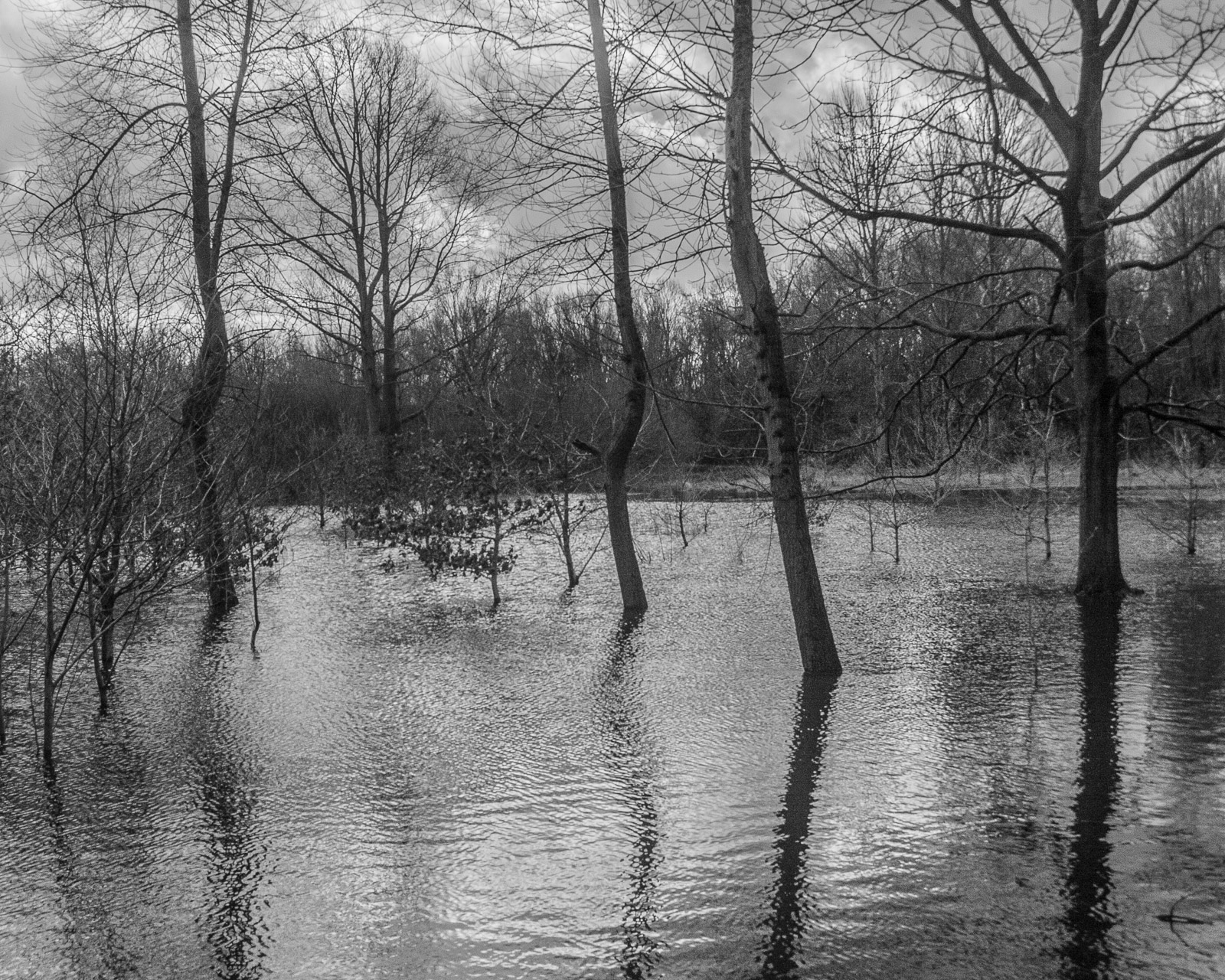 Floodplain