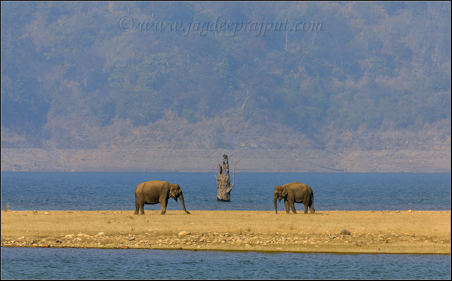 On the banks of Ramganga